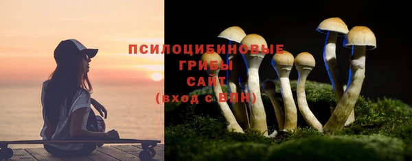 PSILOCYBIN Горняк
