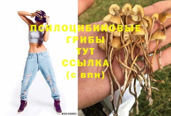 PSILOCYBIN Горняк