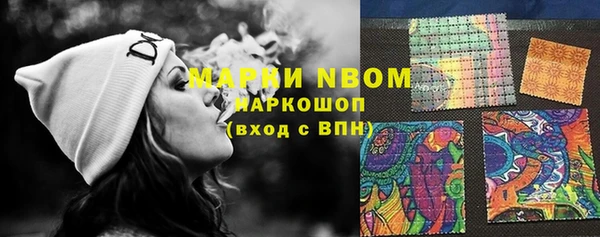 PSILOCYBIN Горняк